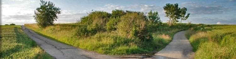 01-001.jpg